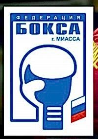 Представители бокса города Миасс поздравили коллег